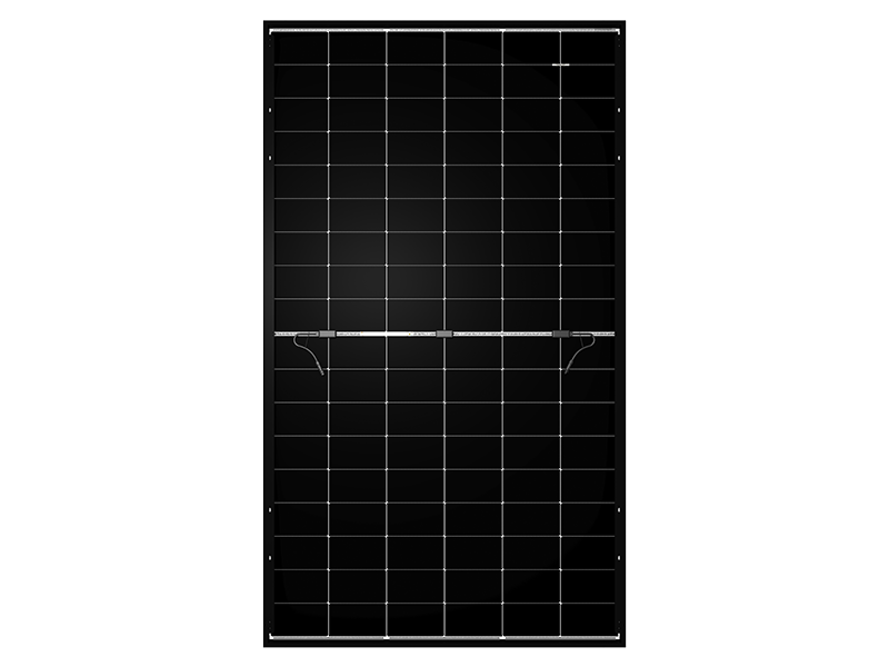 Heliocell vista posteriore