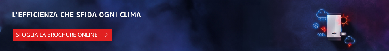 Sfoglia la brochure online