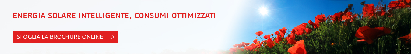 Sfoglia la brochure online
