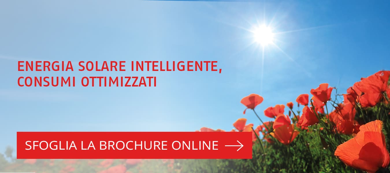 Sfoglia la brochure online